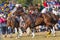 Polo-Cross Men Horses Game Action