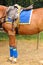 Polo equipment. Saddle and stirrup.