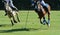 polo, horse, sport, game, player, playing, ponies, match, mallet