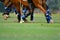 Polo, horse, sport, game, player, playing, ponies, match, mallet