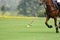 polo horse sport player hit a polo ball with a mallet in match.