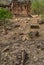 Polo Monument and Vijaynagar Forest-Sabarkantha North Gujarat