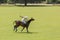 Polo player. Argentine cup. Dublin. Ireland