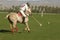 Polo Player Swinging At Ball