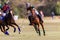 Polo Ponies Players Galloping
