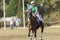 PoloCrosse Horse Rider Women Ireland