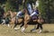 PoloCrosse Horse Riders Women Action