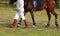 Polocrosse player with horse