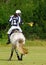 Polocrosse player on horse, back view