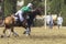 PoloCrosse World-Cup Equestrian Action