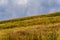 Polonina Wetlinska in the Bieszczady Mountains in Poland