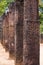 Polonnaruwa Audience Hall Columns Carvings Row