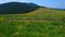 Polonyna Khomyak montane meadow and slope of Mount Synyak, Carpathians, Ukraine