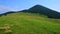 Polonyna Khomyak mountain meadow, Bukovel, Carpathians, Ukraine