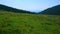 Polonyna Khomyak mountain meadow panorama, Carpathians, Ukraine