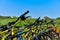 Poltava, Ukraine - 11 May, 2021: Several bicycles stand in a row in nature in the spring afternoon