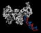 Poly (ADP-ribose) polymerase 1 (PARP-1) DNA damage detection protein. Target of cancer drug development