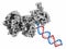 Poly ADP-ribose polymerase 1 PARP-1 DNA damage detection protein. Target of cancer drug development.