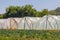 Poly Tunnels