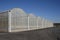 Polycarbonate tunnel greenhouse