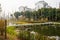 Polygon footbridge over weedy pond before apartments in trees