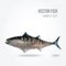 Polygon illustration of tuna fish,