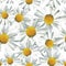 Polygon seamless pattern of daisies white