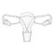 Polygon uterus, dots, black-white