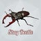 Polygon Vector Stag Beetle