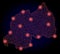 Polygonal 2D Mesh Map of Rwanda with Red Light Spots