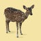 Polygonal animal, deer polygon, vector illustration