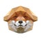 Polygonal animal fox head.