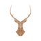 Polygonal brown deer with horns on a white background.