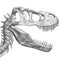 Polygonal dinosaur head. Dinosaur skull with sharp teeth. Side view. 3D. Vector illustration