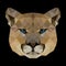 Polygonal face of puma