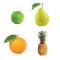 Polygonal fruits isolated