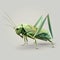 Polygonal grasshopper isolated on gray background. Vector illustration.