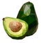 Polygonal illustration of avocado