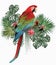 Polygonal Illustration green winged macaw