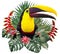 Polygonal Illustration Toucan bird