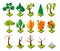 Polygonal isometric trees. Vector low poly trees without foliage, 3D summer and autumn forest elements