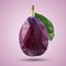 Polygonal juicy purple plum with green leaf