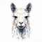 Polygonal Llama Head On White Background