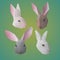 Polygonal Rabbit Or Hare Heads Collection