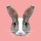 Polygonal rabbit head, polygon animal head, isolated vector