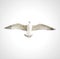 Polygonal seagull in flight on a white background