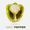 Polygonal Sweet pepper.