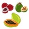 Polygonal tropical papaya, feijoa, lychee fruits