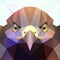 Polygonal vector eagle head