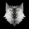 Polygonal wolf head logo, vector illustration